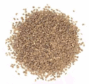 tajagro radhuni seed