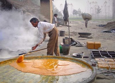 tajagro products Making Jaggery