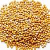 Taj Agro Rai Kuria (Cracked Mustard Seed)