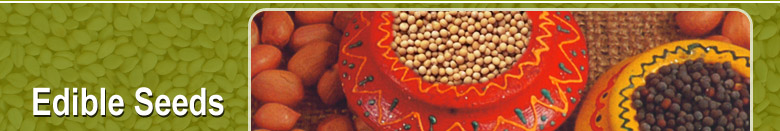 Taj Agro Rai Kuria banner