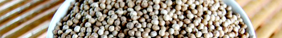 Safed Mirchi (White Pepper)