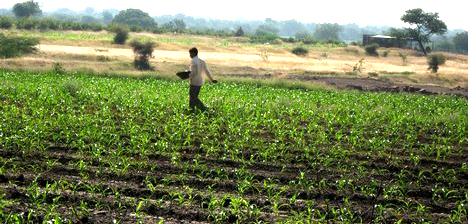 tajagro_agriculture