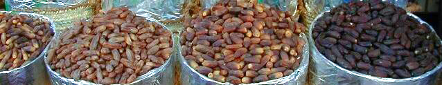 Khajur (Dates)