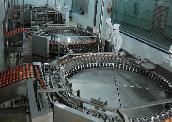 Egg Processing Unit