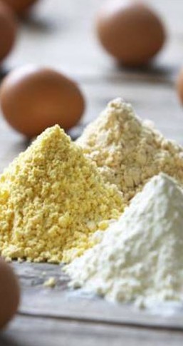 Egg Protein Powder