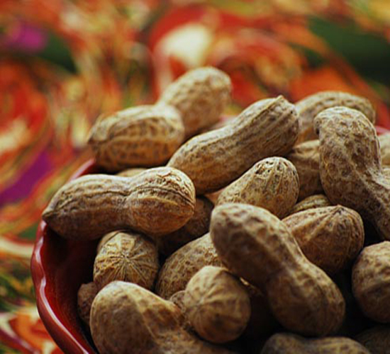 tajgroundnuts