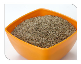 tajagro ajwain seeds