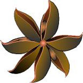 Star Anise Single