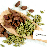 Cardamom