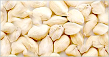 White cardamom