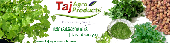 Coriander-top-banner