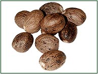 nutmeg spices