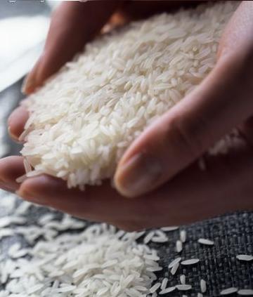 basmati rice 