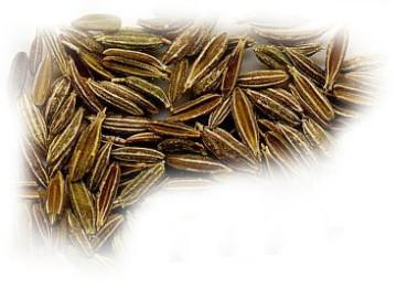 cumin seeds