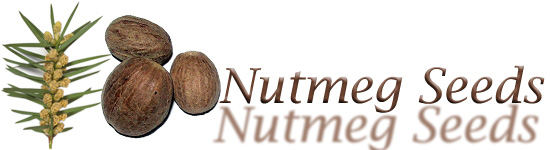 nutmeg seeds