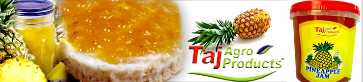 Pineapple fruit jam banner