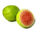 Guava