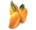 Alphonso Mango