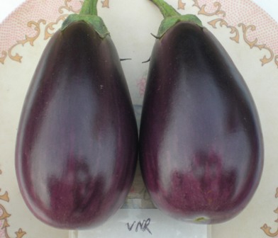 super star brinjal