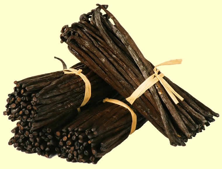 vanilla beans bundles