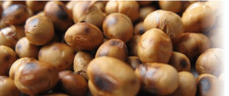 roasted-soya-beans