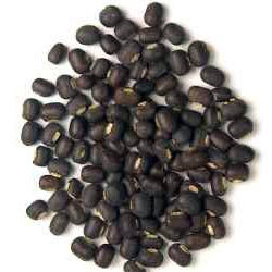 tajagro products Urad 